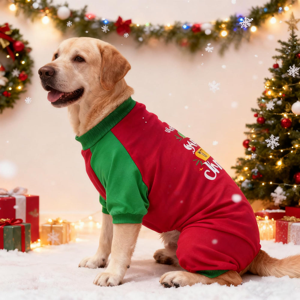 EXPAWLORER Christmas dog pajamas back design ideal for festive photoshoots