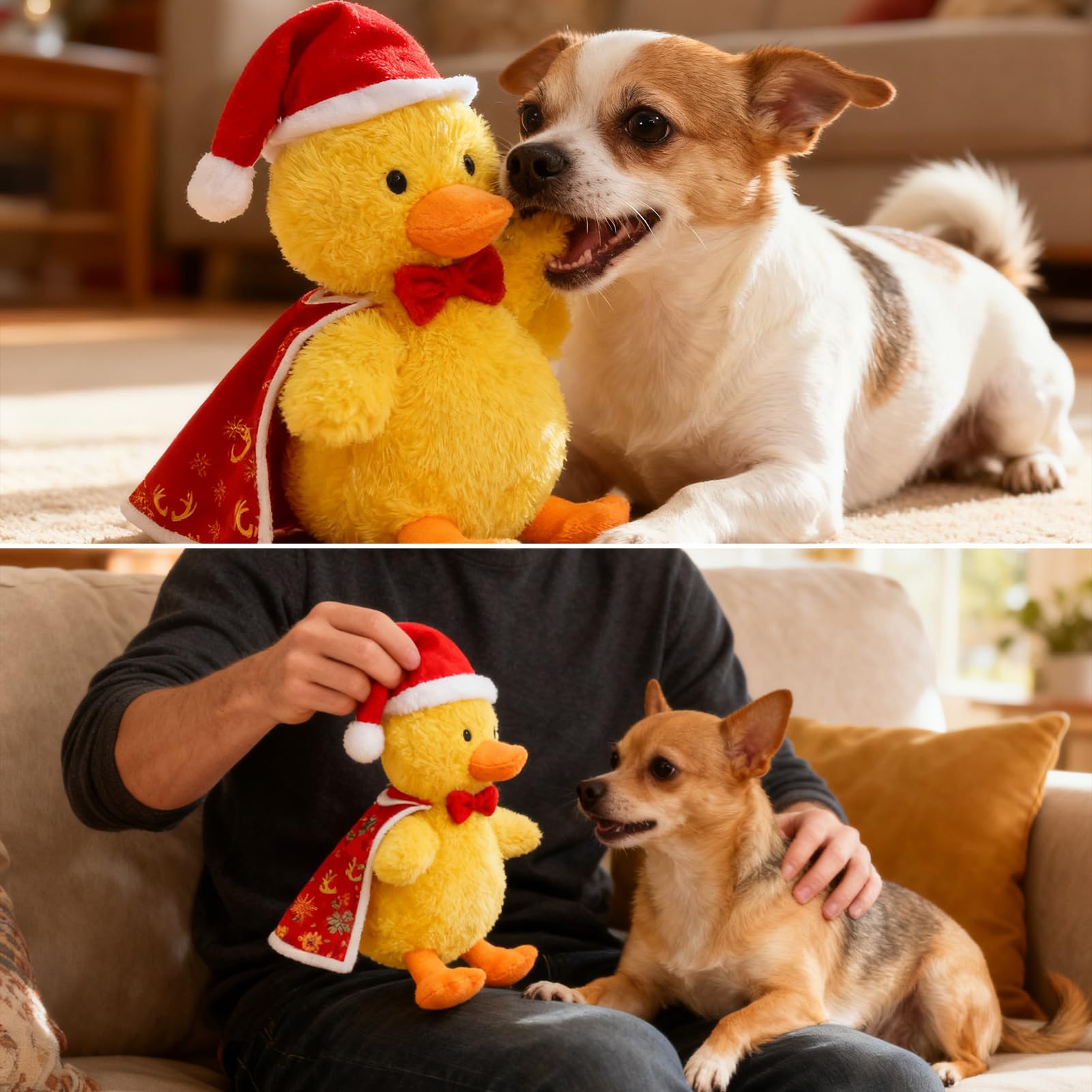 EXPAWLORER Christmas squeaky duck toy ideal for indoor and outdoor play settings.
