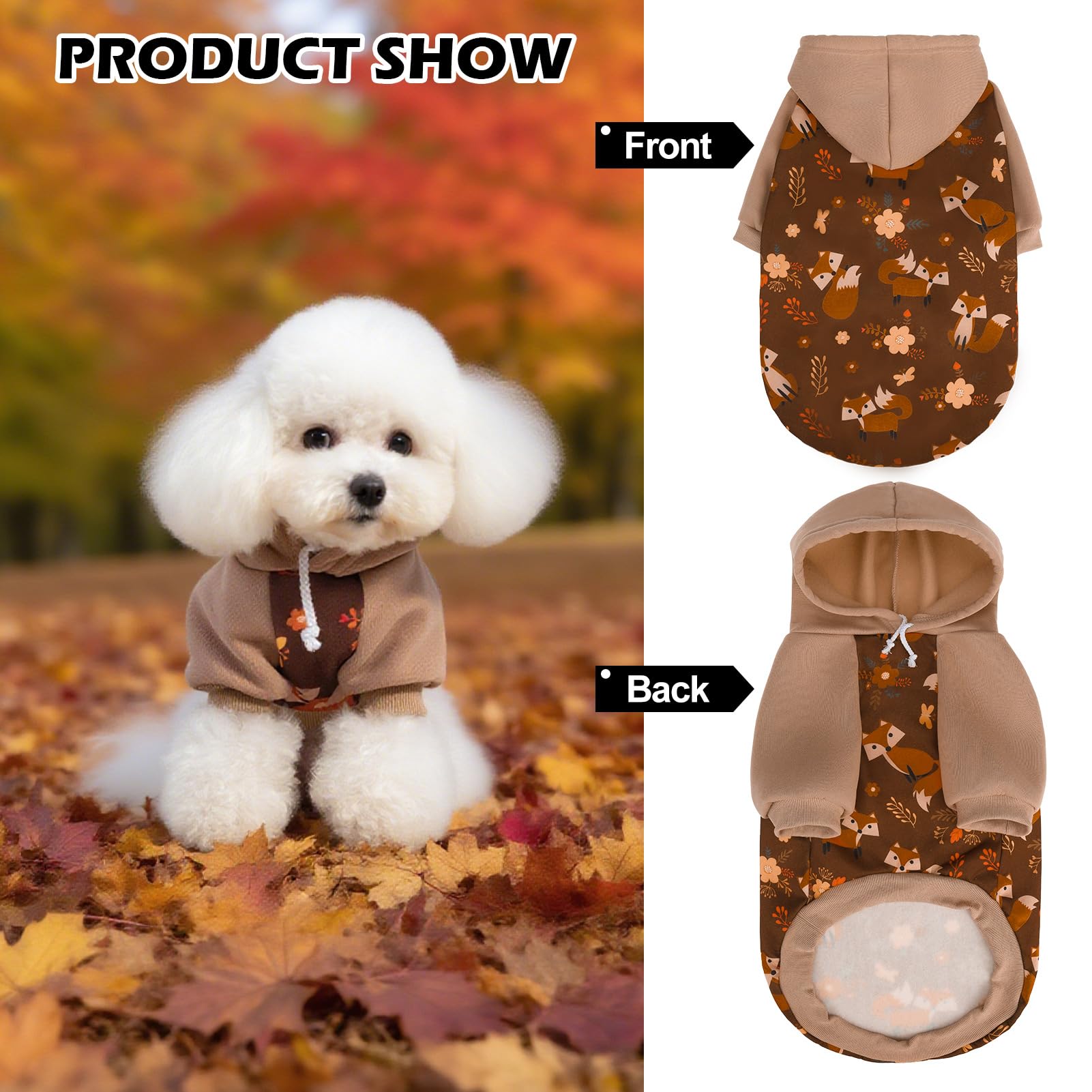 EXPAWLORER autumn-maple-leaf-pattern adds stylish flair for charming photos.