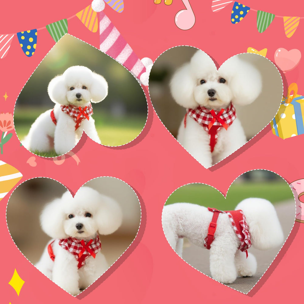 EXPAWLORER cute checkered pattern brightening outings