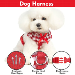 EXPAWLORER detachable bow detail adds cute flair to daily strolls