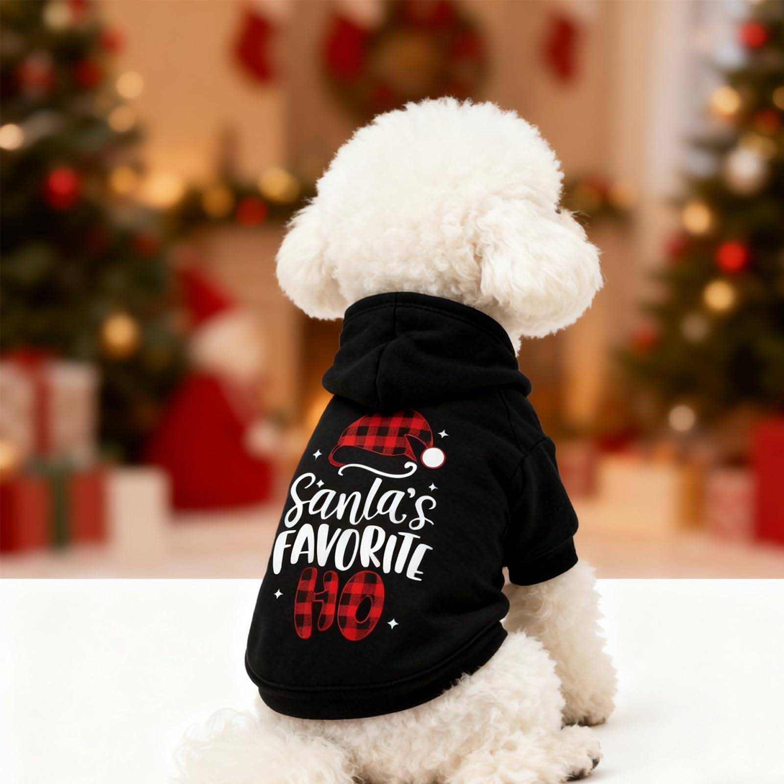 EXPAWLORER dog Christmas hoodie outdoor stroll in snow scene.