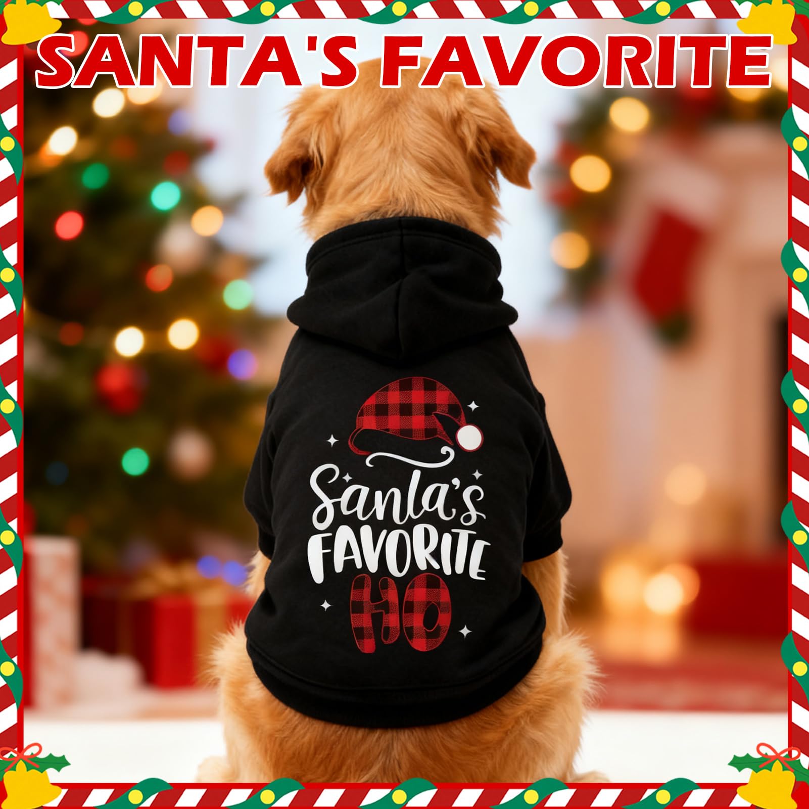 EXPAWLORER dog Christmas hoodie Santa print design adds festive charm during outings.