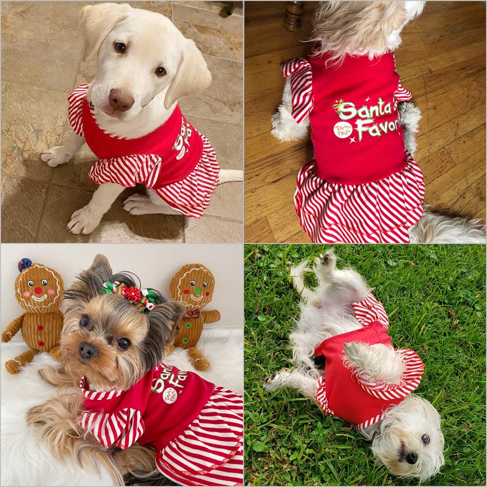 EXPAWLORER dog dress soft fabric close-up highlighting lightweight comfort.