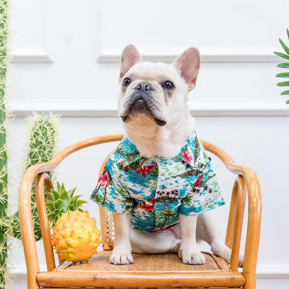 EXPAWLORER Dog Hawaiian Shirt worn by pet during sunny outings