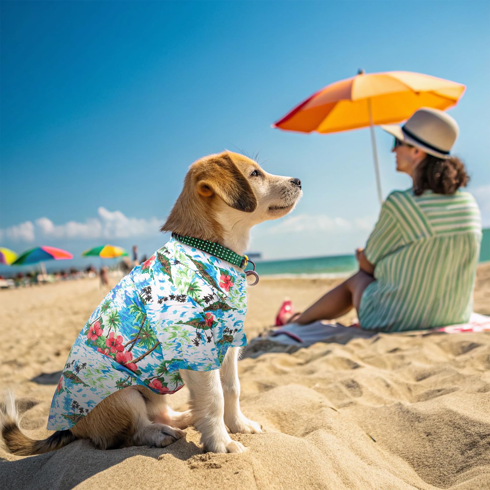 EXPAWLORER Dog Hawaiian Shirt easy-closure design prevents lost buttons