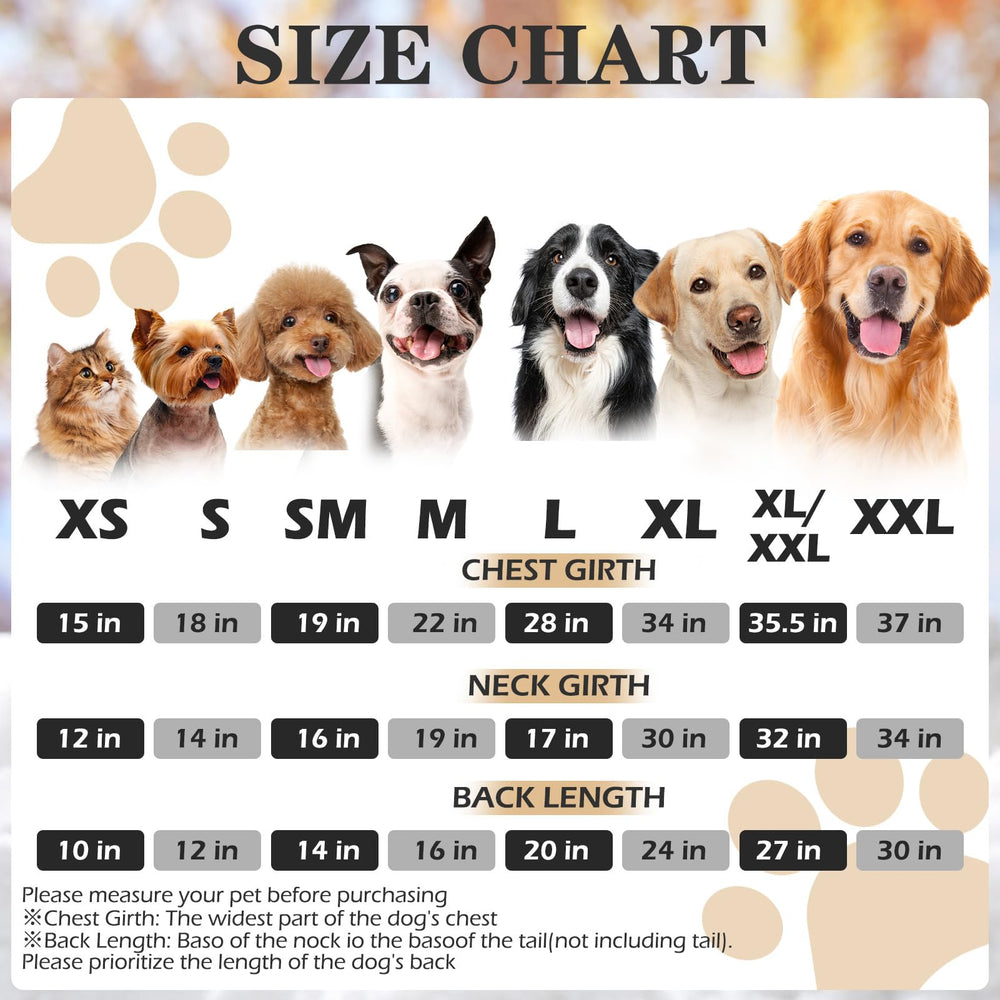 EXPAWLORER dog hoodie back print highlights sporty style for outings