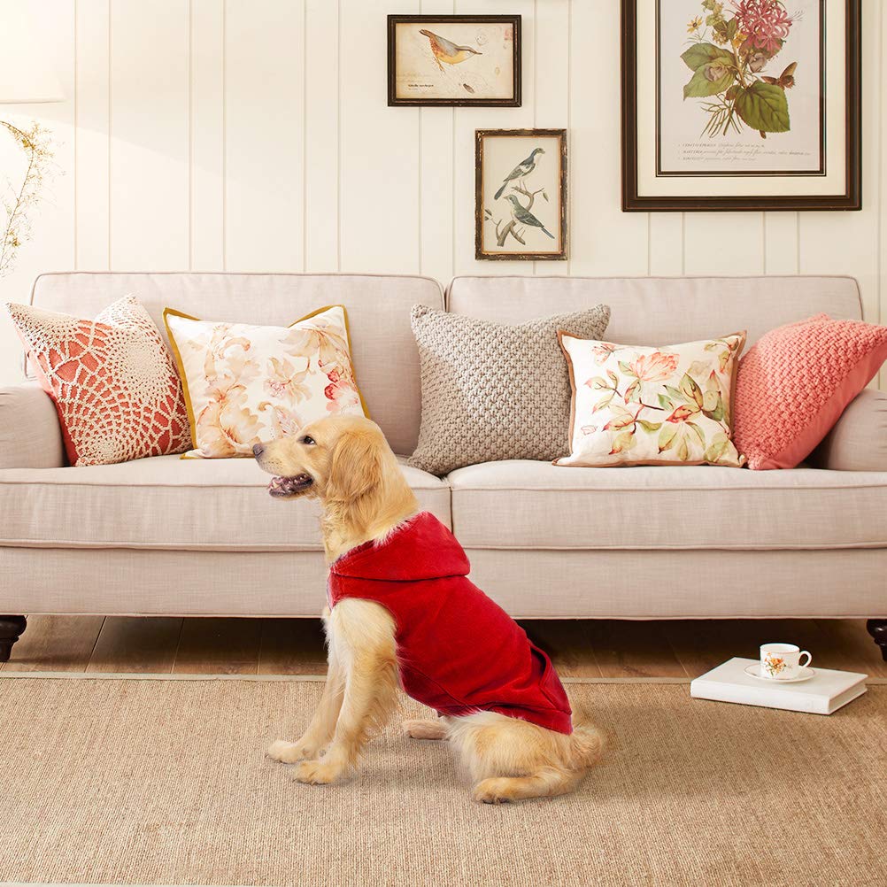 EXPAWLORER dog hoodie fleece vest worn during a winter walk for cozy comfort.