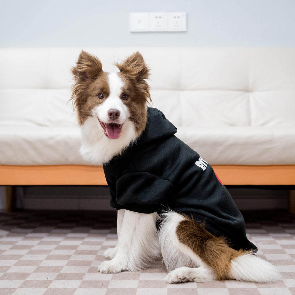 EXPAWLORER dog hoodie packaged for easy storage or gifting