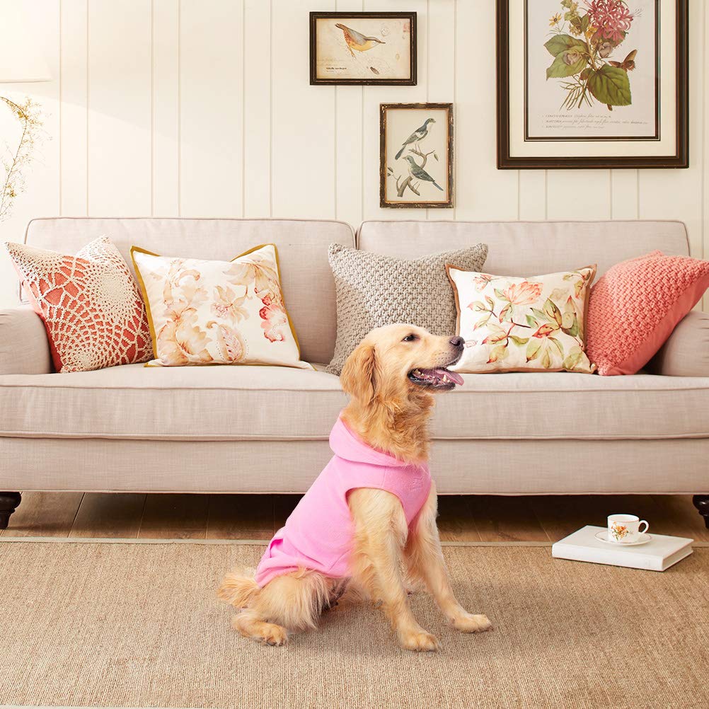 EXPAWLORER dog hoodie pink xl fit during outdoor walk.