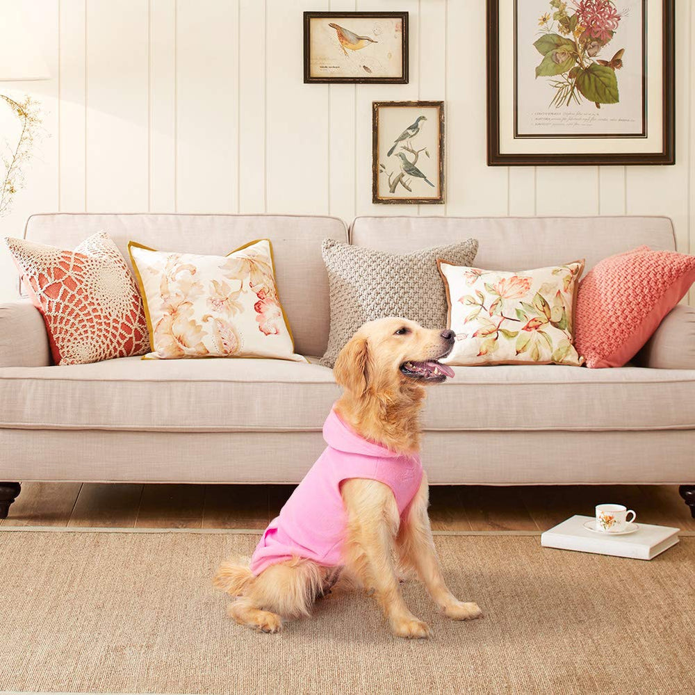 EXPAWLORER dog hoodie pink xl fit during outdoor walk.
