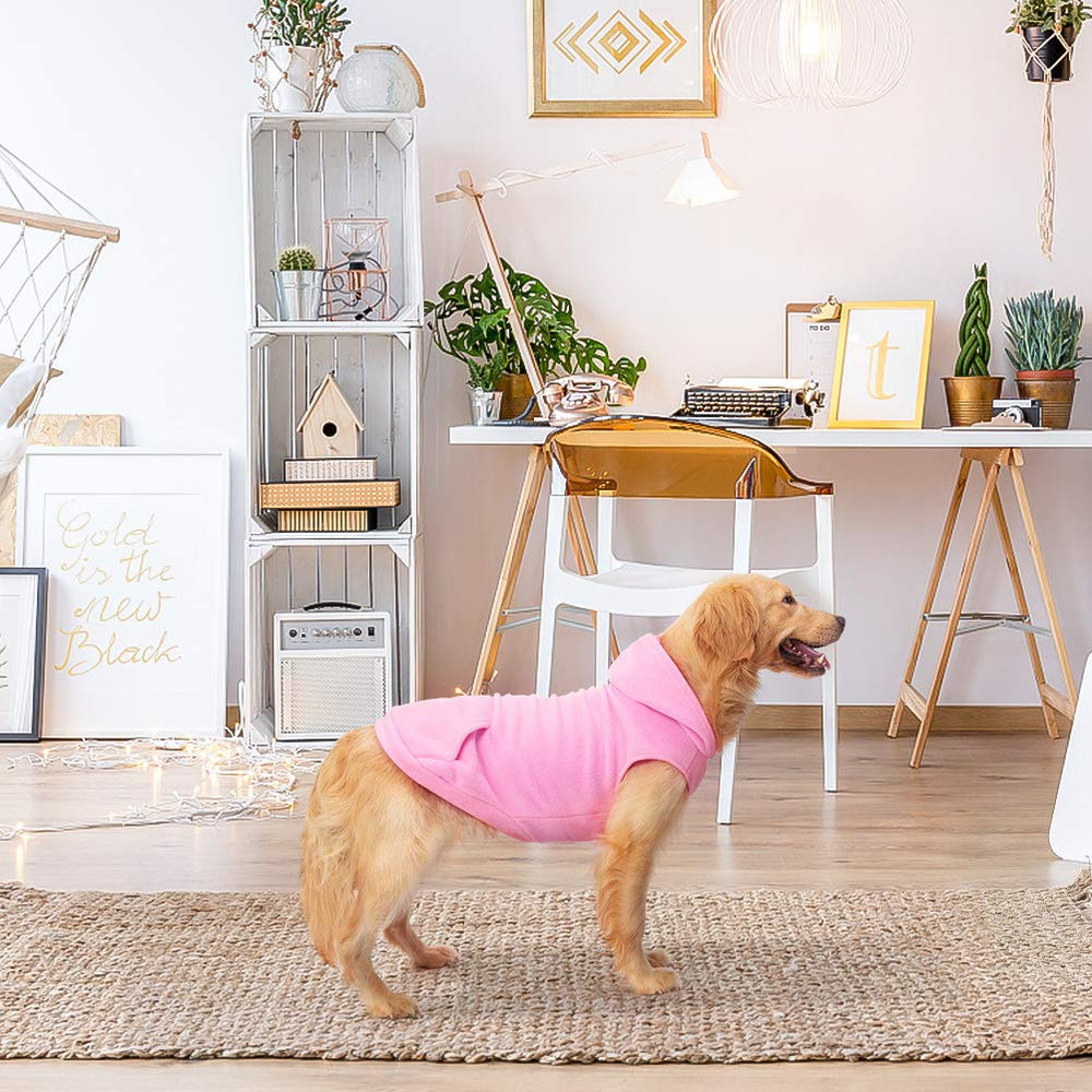 EXPAWLORER dog hoodie pink xl lifestyle image emphasizes cozy winter style.