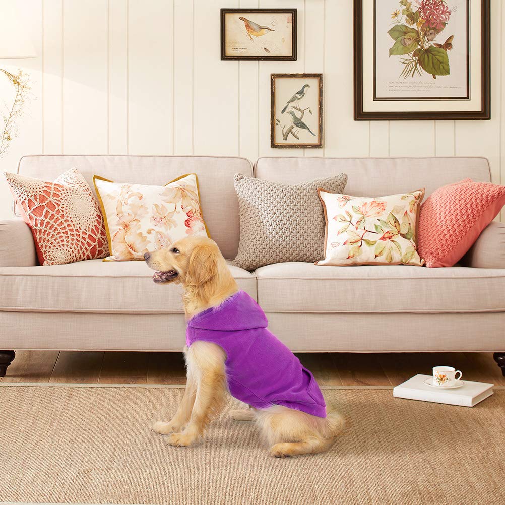 EXPAWLORER dog hoodie-size-chart-measurement helps fit for dogs