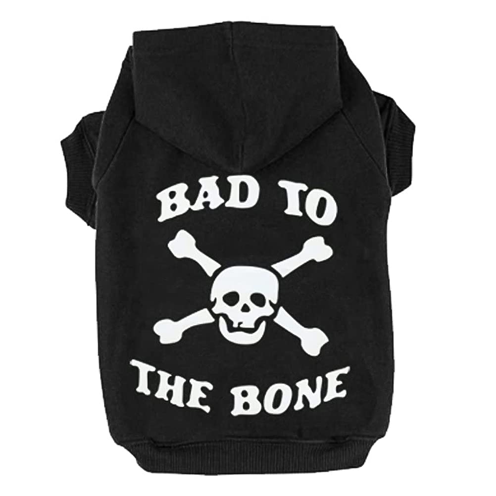 EXPAWLORER dog hoodie sweater skeleton front view for warmth and play