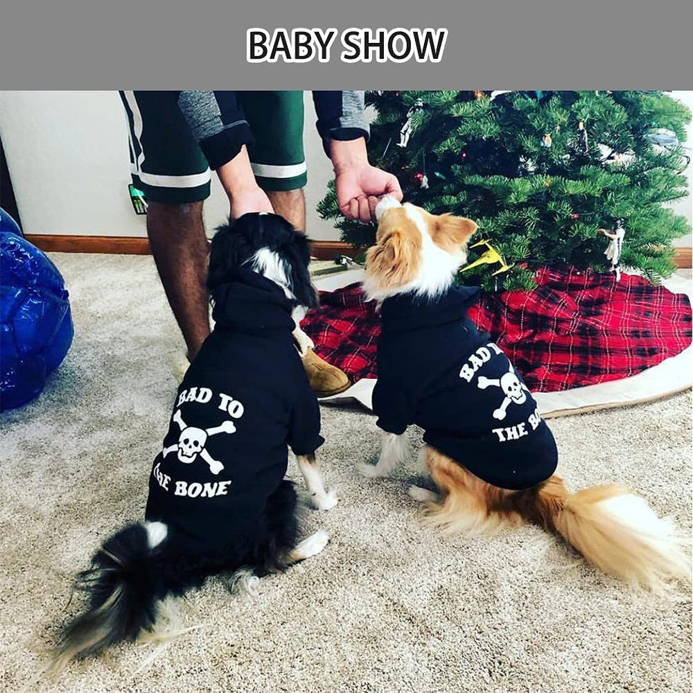 EXPAWLORER dog hoodie sweater XS size guide for accurate fit