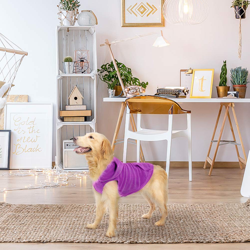 EXPAWLORER dog hoodie-winter-walk outdoor setup inspires chilly weather use