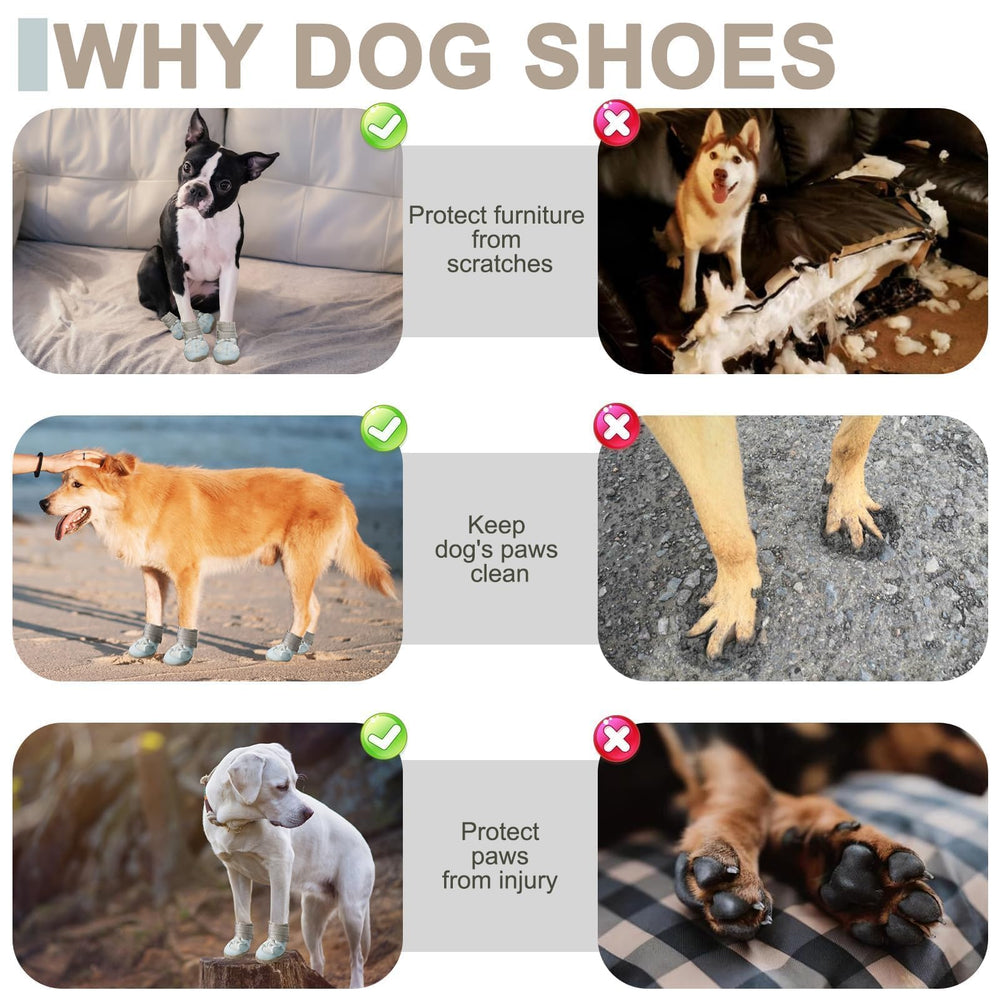 EXPAWLORER anti-slip dog shoes for indoor floors and stair safety.