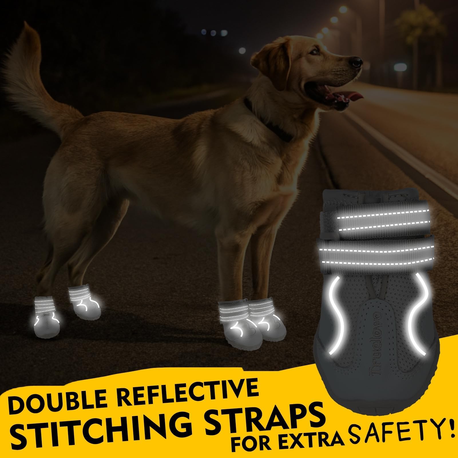 EXPAWLORER waterproof design keeps paws dry during light rain and splashes.