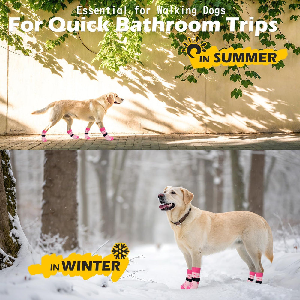 EXPAWLORER 6-pack packaging highlights value and color variety