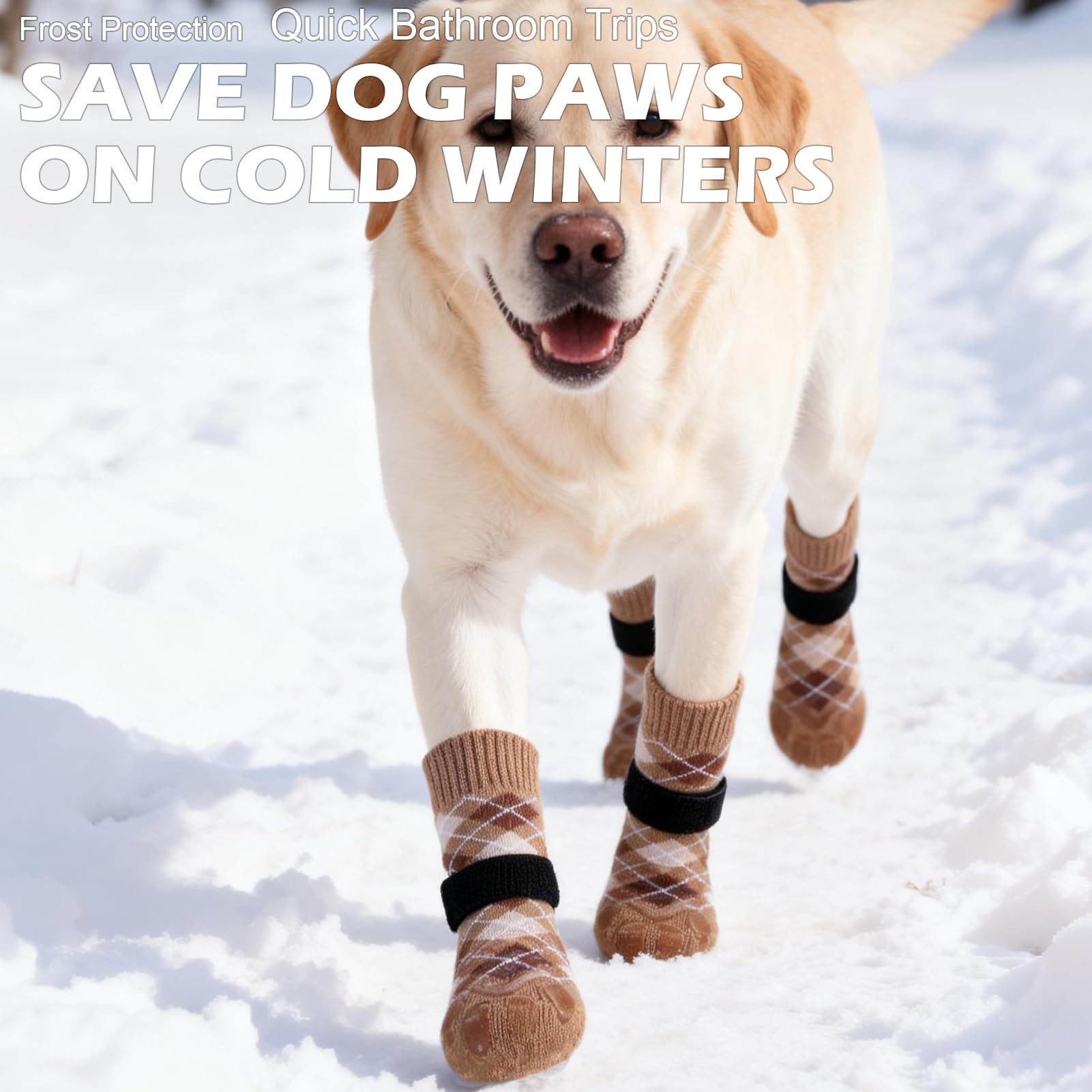 EXPAWLORER dog socks breathable material during outdoor walk texture