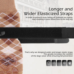 EXPAWLORER dog socks detachable strap close-up for secure fit