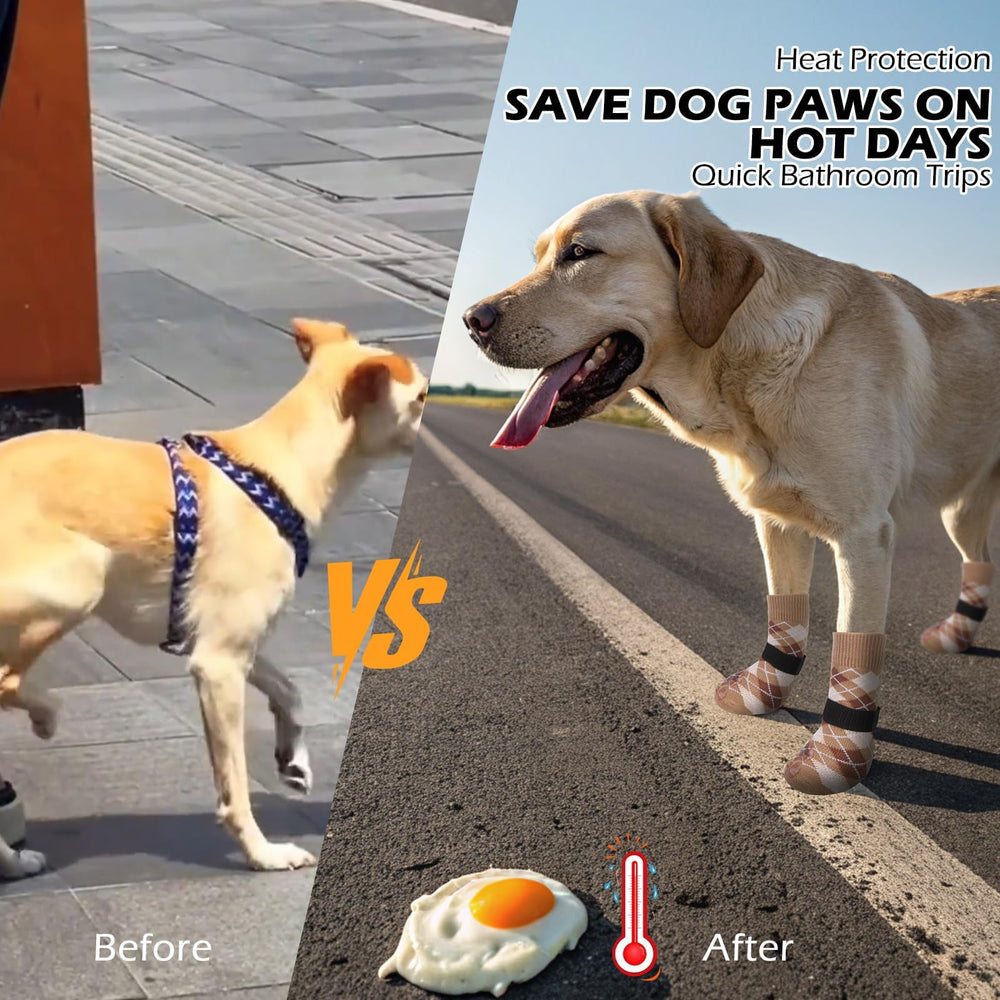 EXPAWLORER dog socks durable fabric designed for daily wear