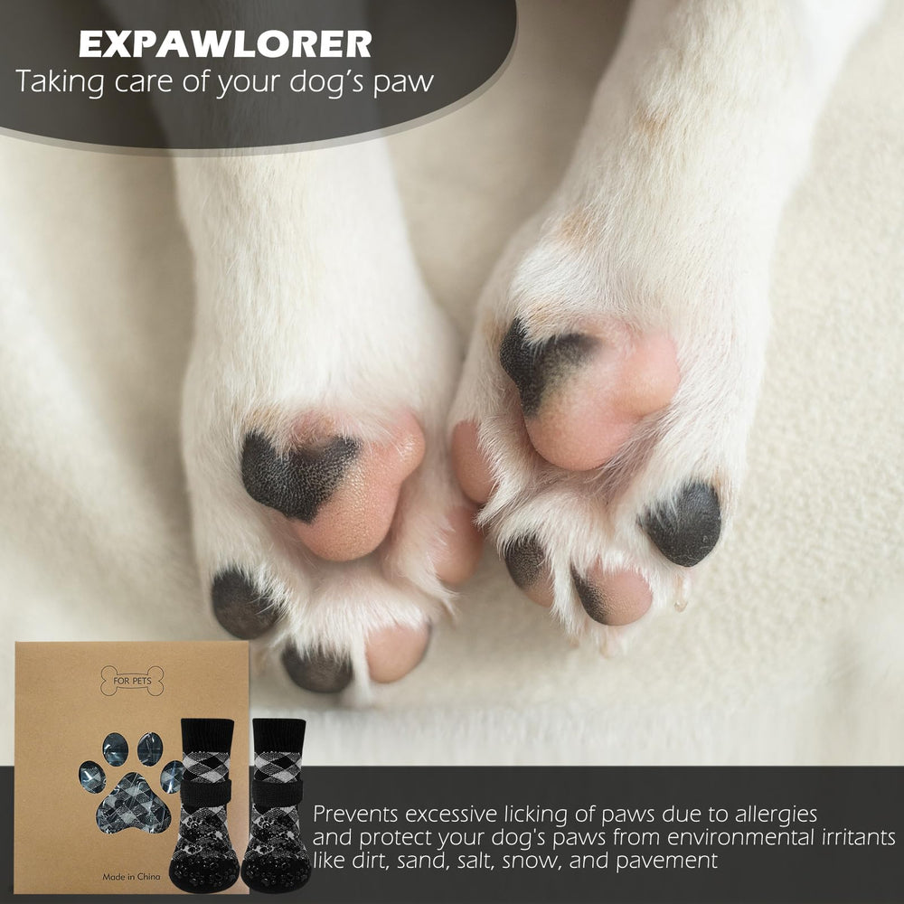 EXPAWLORER socks available in multiple sizes for small, medium, and large dogs