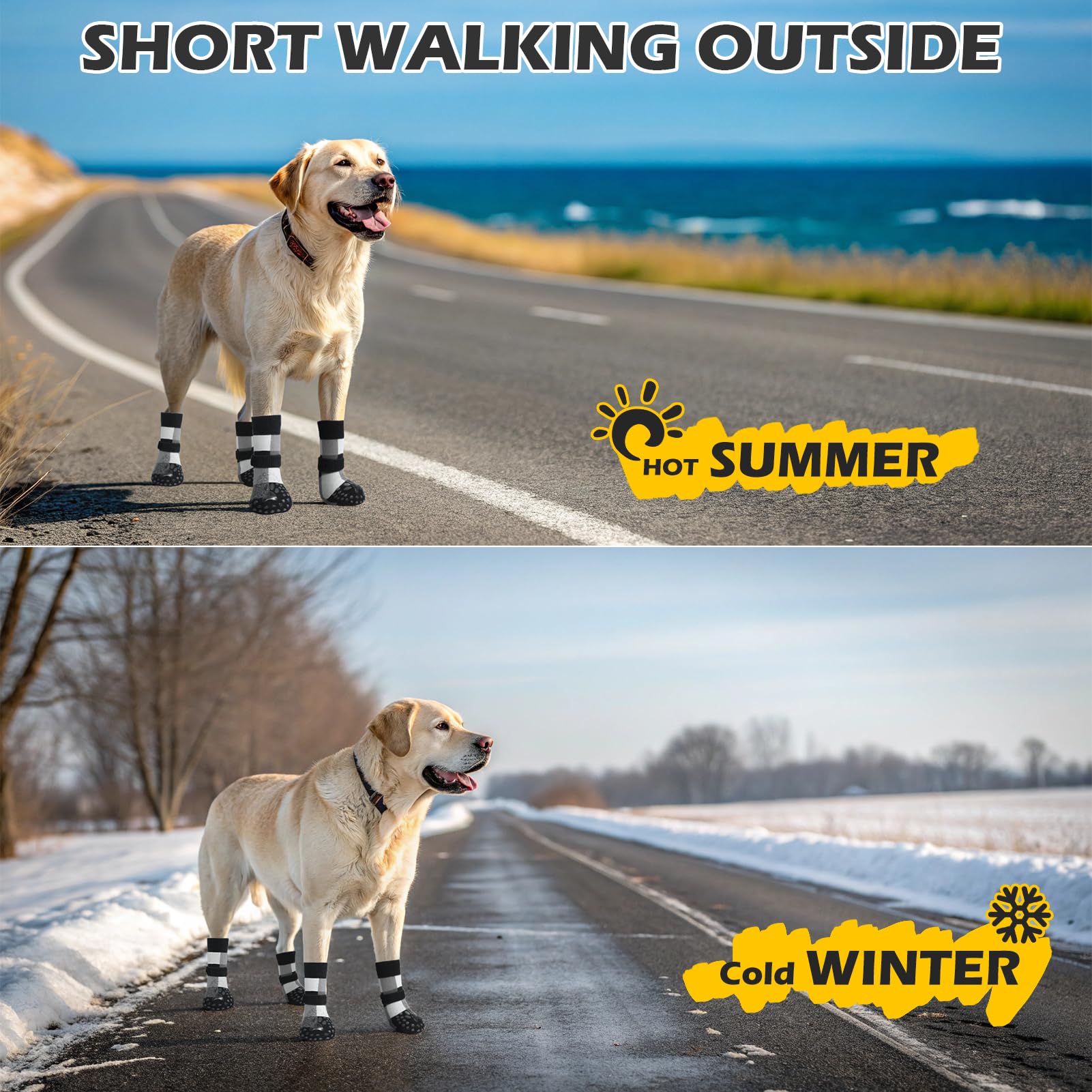 EXPAWLORER dog socks safeguard floors during indoor use.