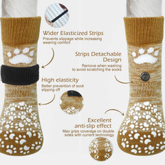 EXPAWLORER dog socks protecting paws on hot pavement with breathable knit comfort
