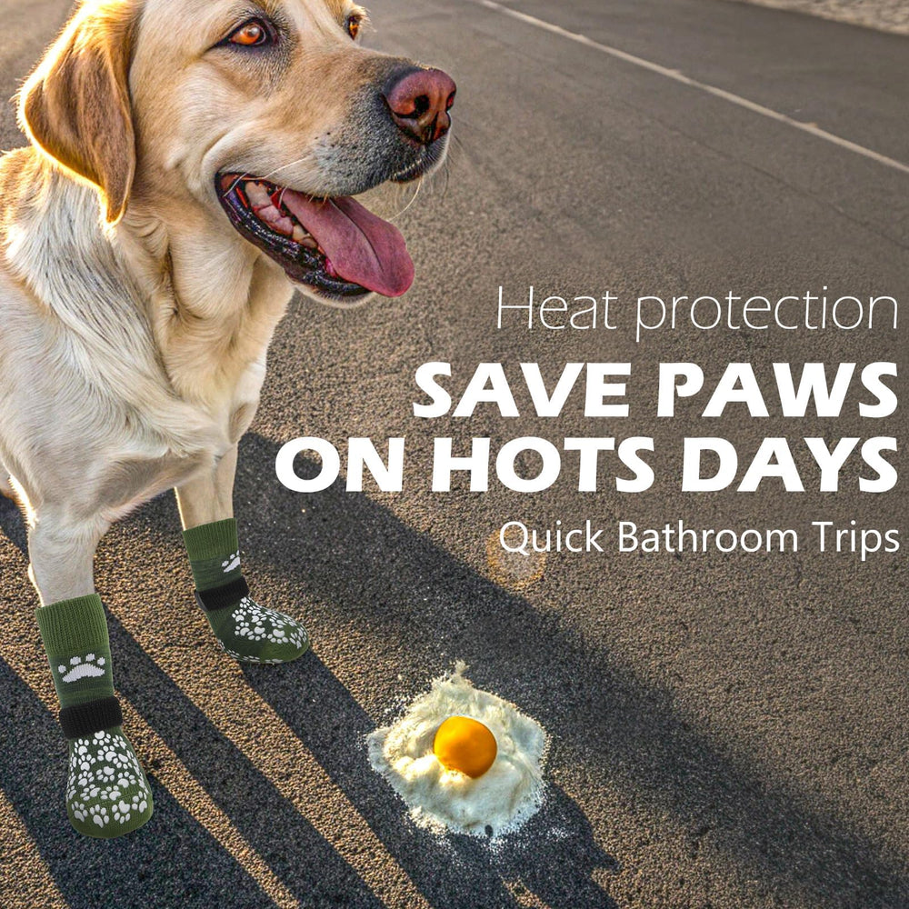 EXPAWLORER dog socks shielding paws from hot pavement during sunny strolls
