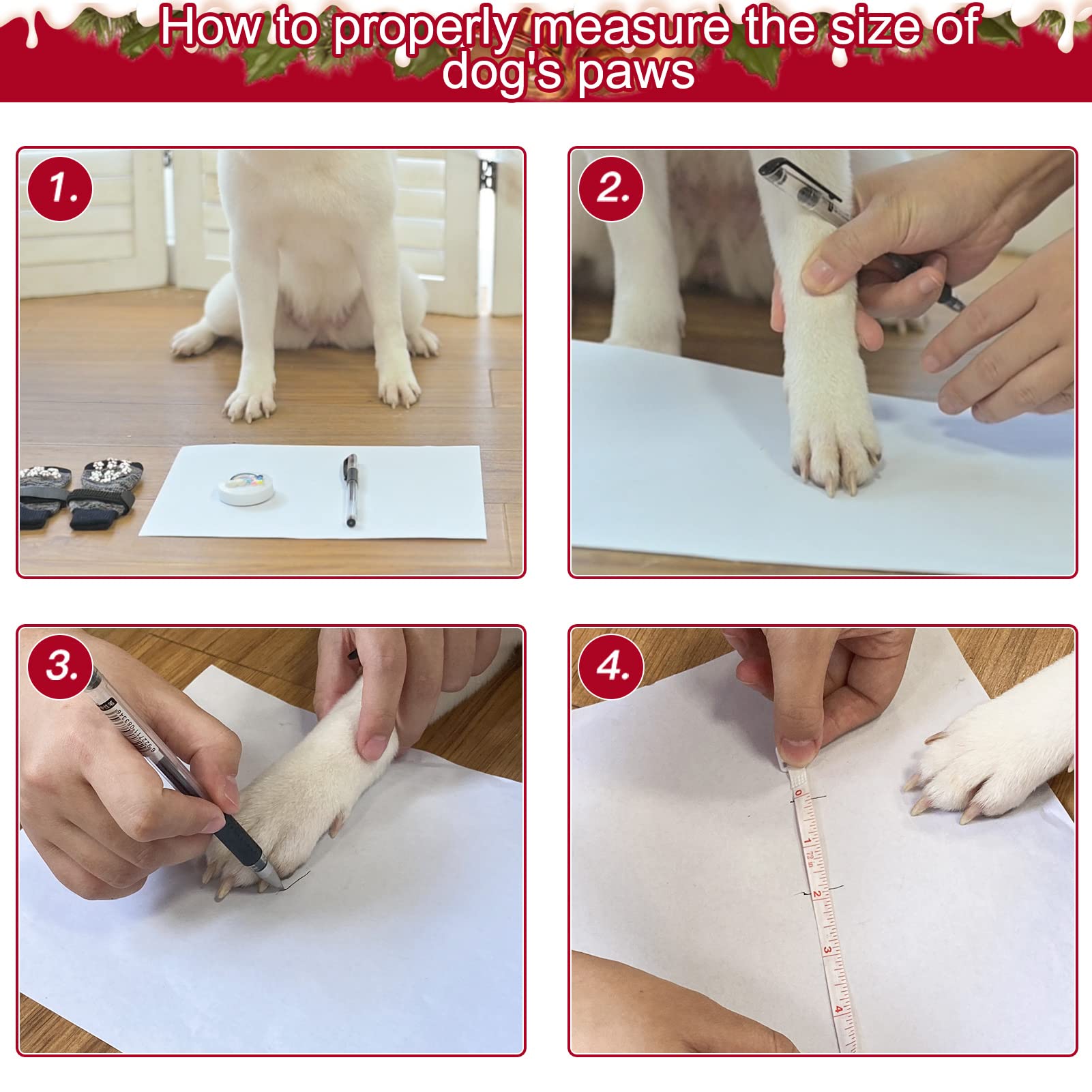 EXPAWLORER dog socks worn on paw demonstrating paw protection during indoor activity