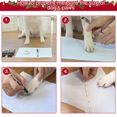 EXPAWLORER dog socks worn on paw demonstrating paw protection during indoor activity