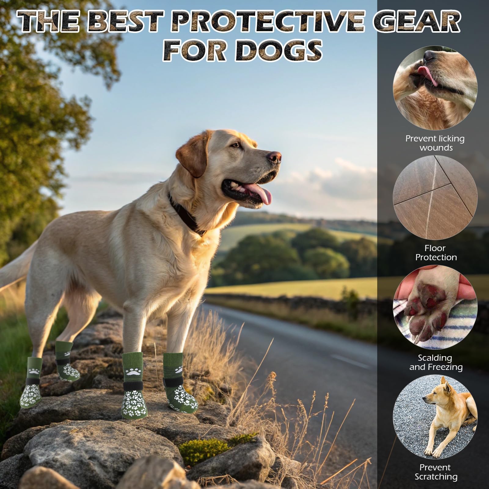 EXPAWLOR dog socks on hardwood floors improving traction for seniors
