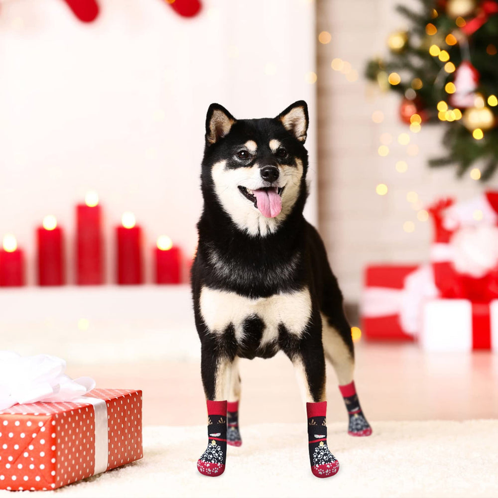 EXPAWLORER dog socks packaging with six pairs ready to use