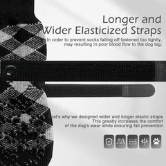 EXPAWLORER paw-protection socks shield paws from hot pavement