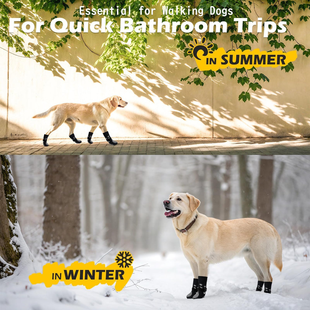 EXPAWLORER six-pack-package offers value and color variety.