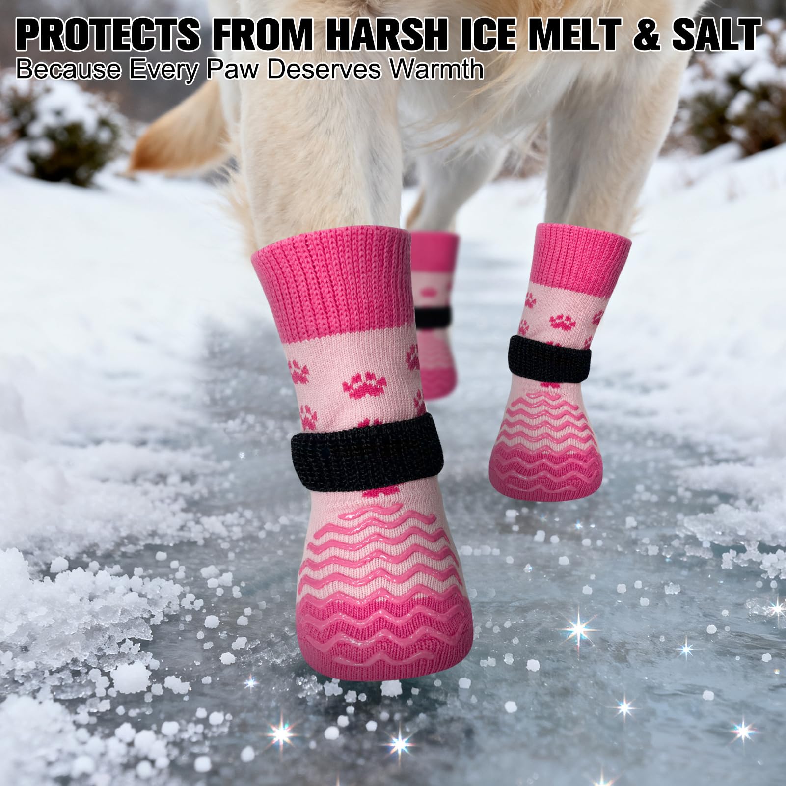 EXPAWLORER dog socks winter use shown for cold weather protection