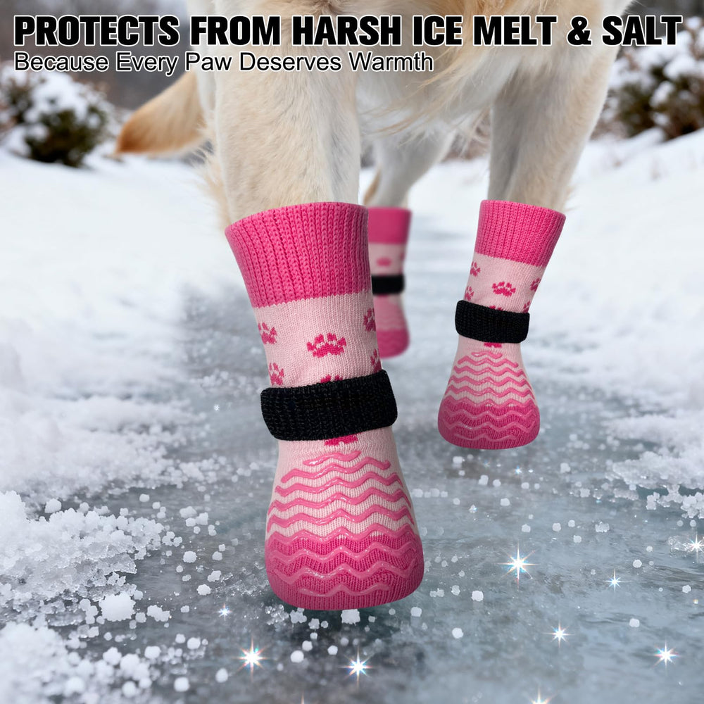 EXPAWLORER dog socks winter use shown for cold weather protection