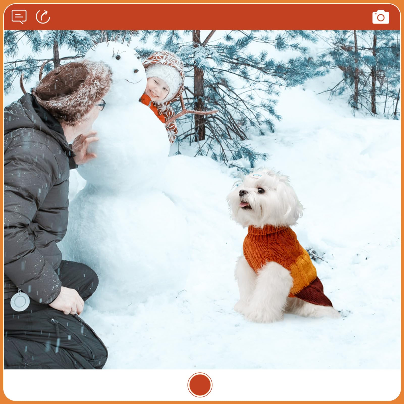 EXPAWLORER dog sweater in-use small-dog demonstrates practicality for daily walks