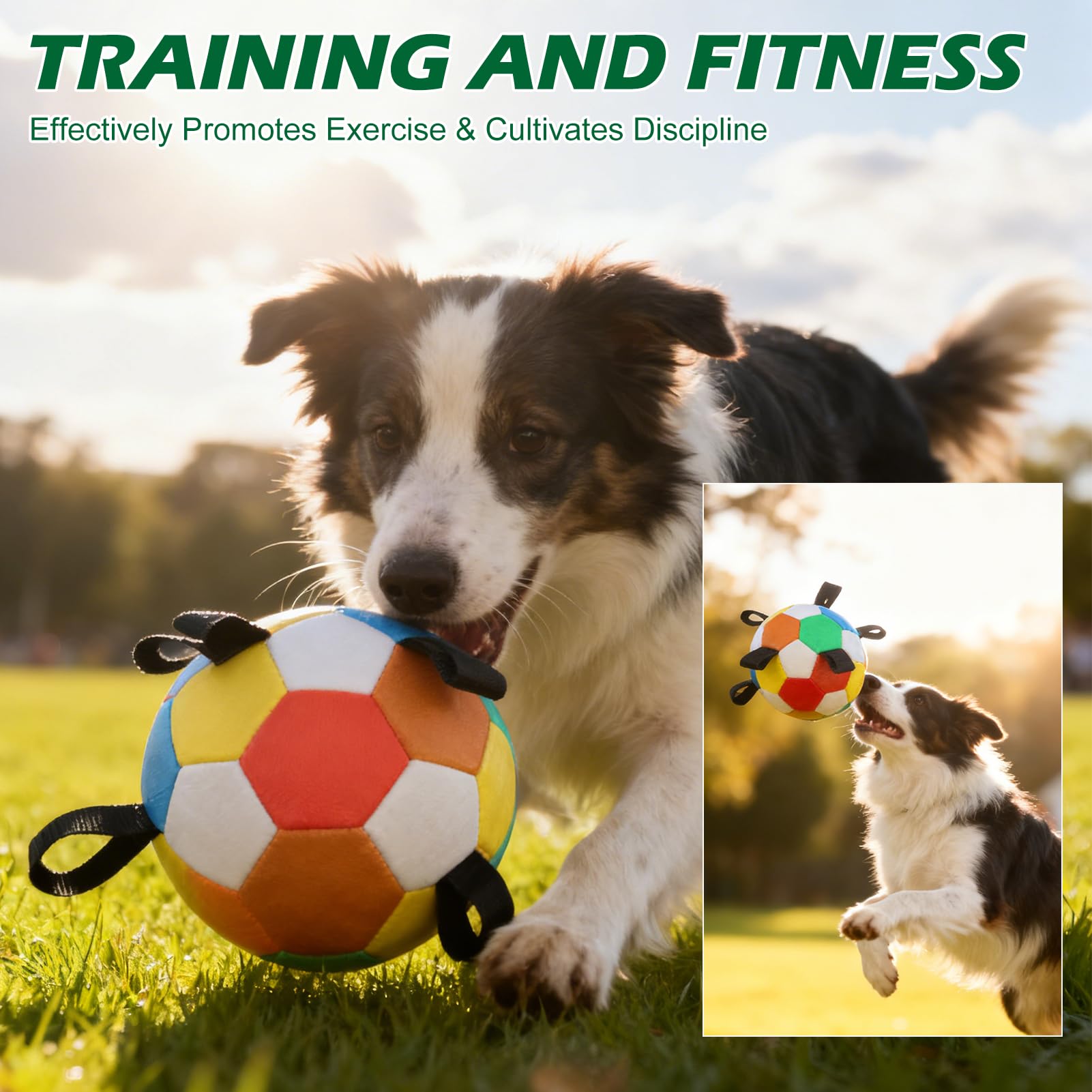 EXPAWLORER tug-of-war friendly dog ball for interactive games.