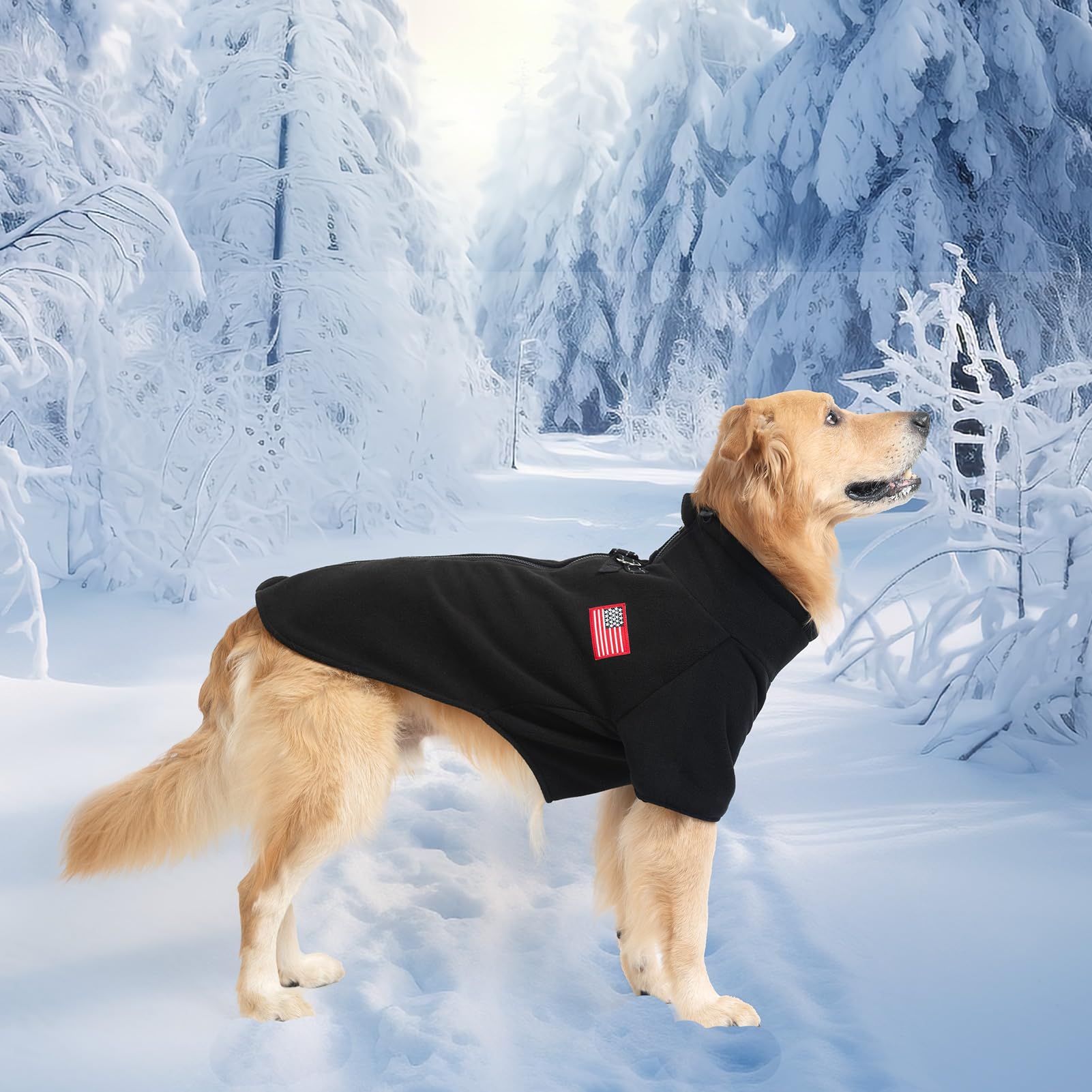 EXPAWLORER dog winter coat size chart helping customers choose the right fit