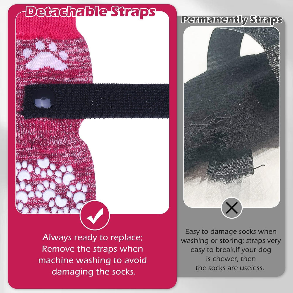 EXPAWLORER elastic-strap ensures secure fit for dogs of different sizes.