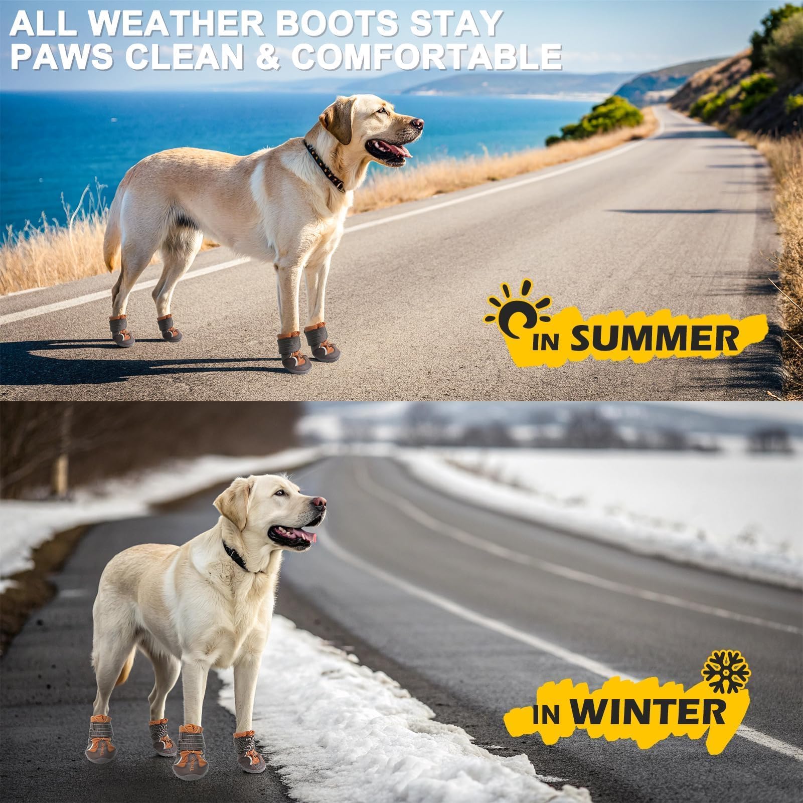 EXPAWLORER four booties pack ready for all-season adventures.