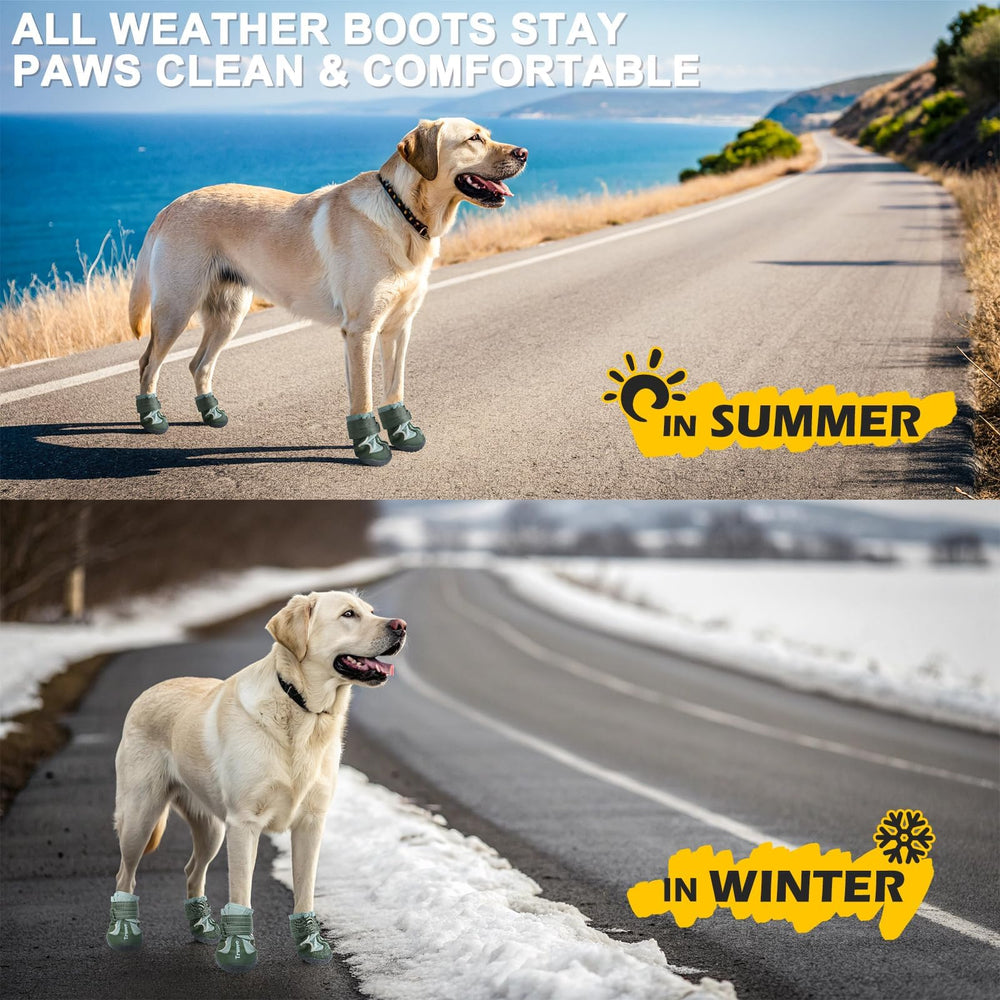 EXPAWLORER four-pack packaging emphasizes all-season protection