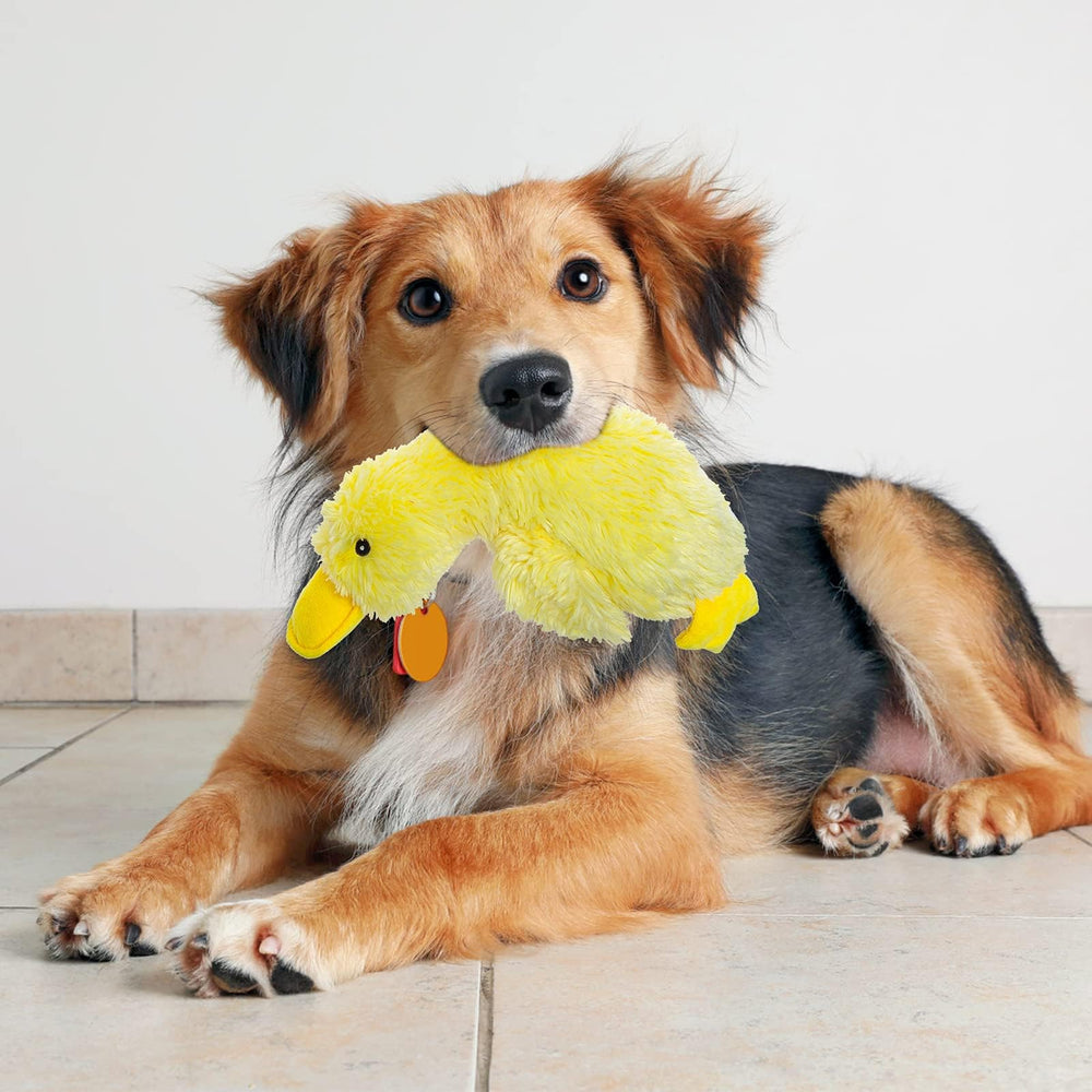 EXPAWLORER gift-ready yellow duck dog toy for birthdays or holidays.