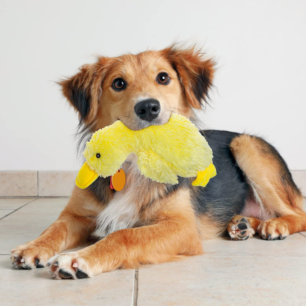 expawlorer gift-ready duck toy ideal for birthdays and holidays.