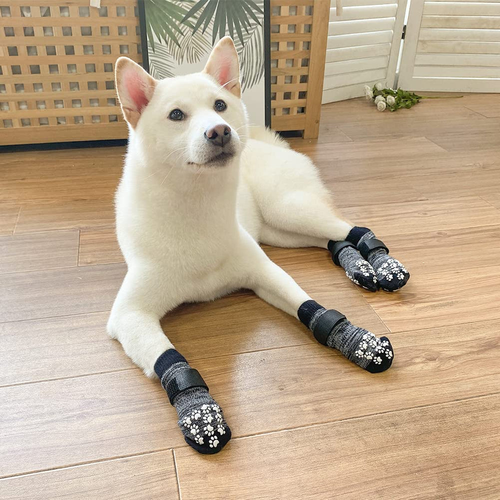 EXPAWLORER paw protectors shield hardwood floors from paw scratches indoors.