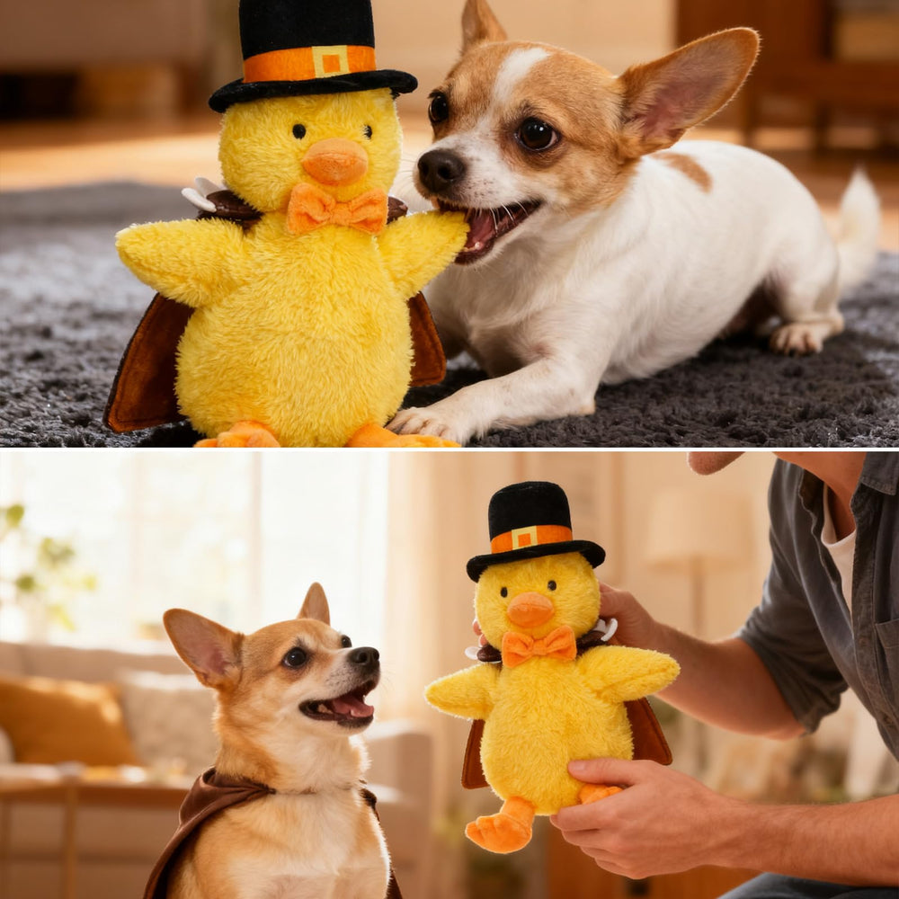 EXPAWLORER holiday photo session with turkey-costume duck toy
