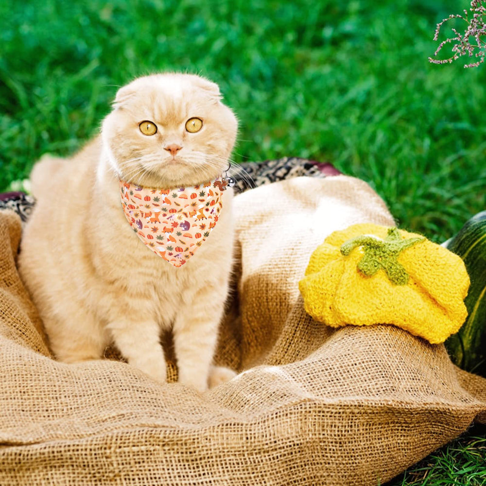 expawlorer holiday-ready cat collar worn during party time