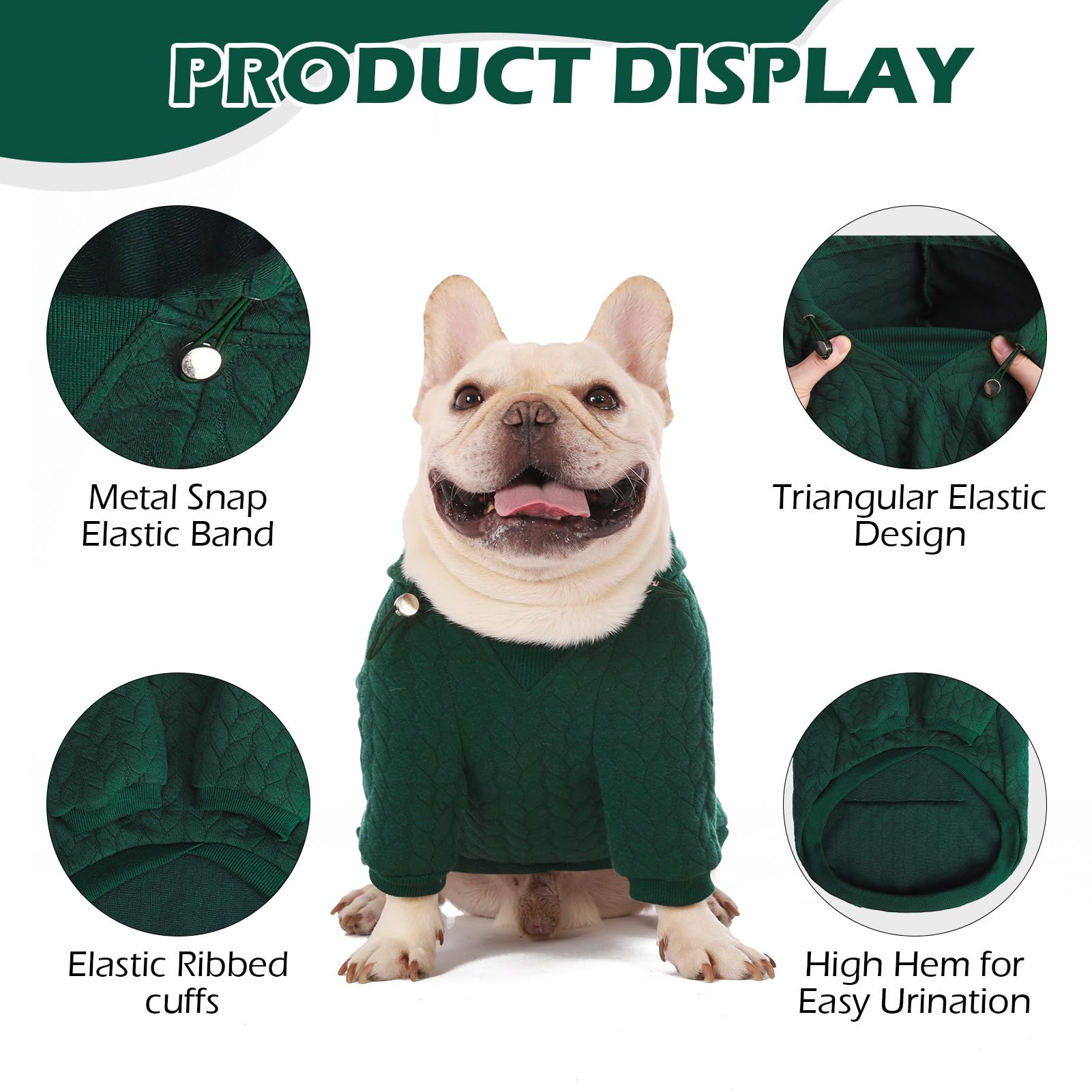 EXPAWLORER leash-hole detail highlights easy leash attachment during walks